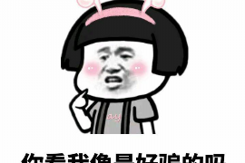 天元遇到恶意拖欠？专业追讨公司帮您解决烦恼